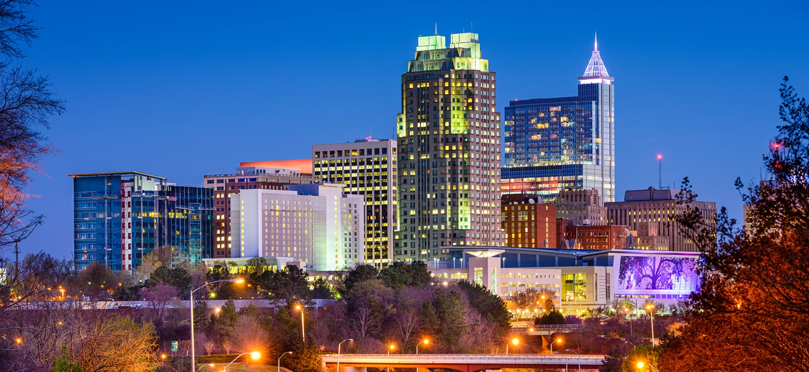 Raleigh Skyline